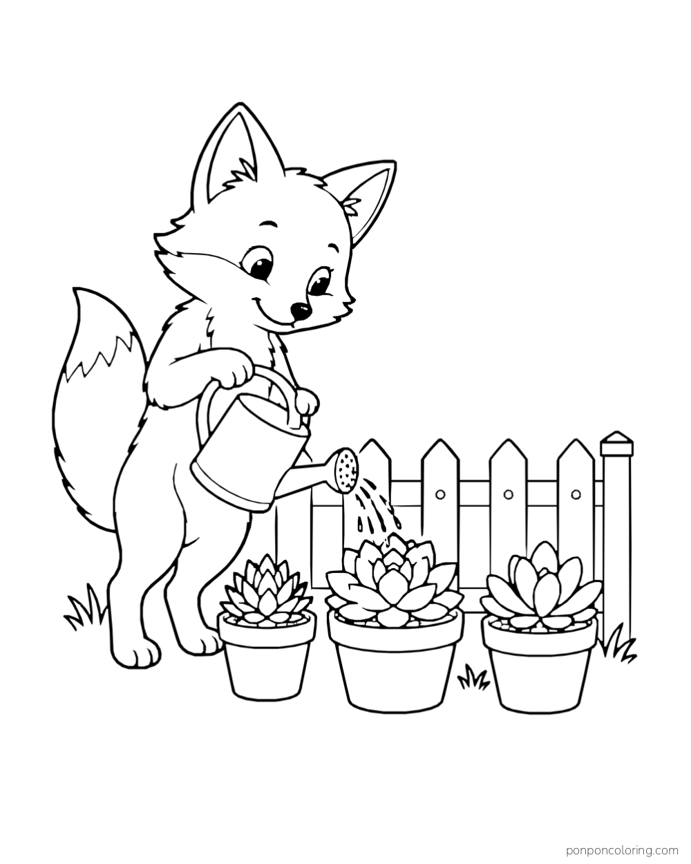 Fox tipping a watering can toward the middle of three rosette pots beside a short fence.