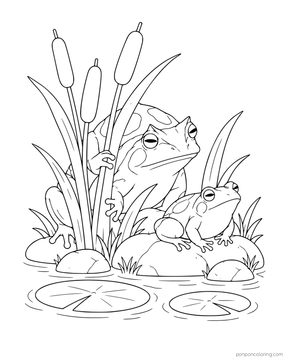 Two patterned frogs among cattails and stones beside a pond with lily pads.