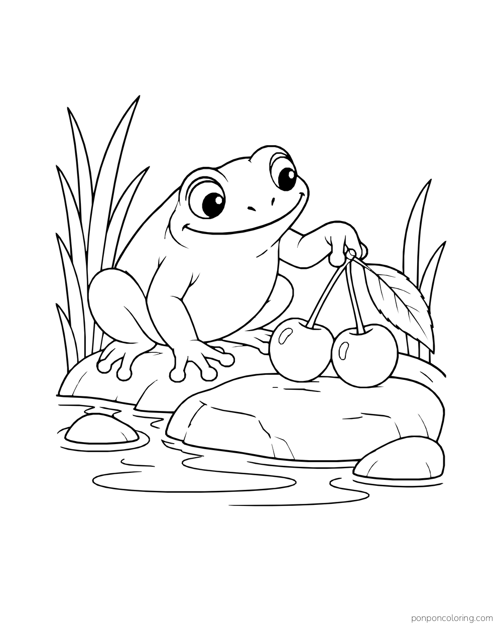 A broad-eyed frog holds cherry stems while sitting on a stone at the pond edge.
