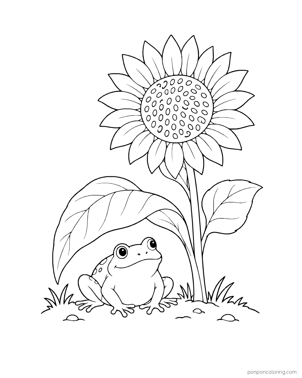 A frog resting under a broad sunflower leaf beneath an open bloom.