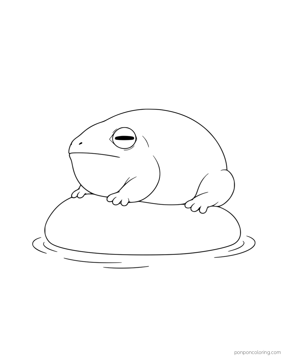 A round short-legged frog sitting on a smooth stone.