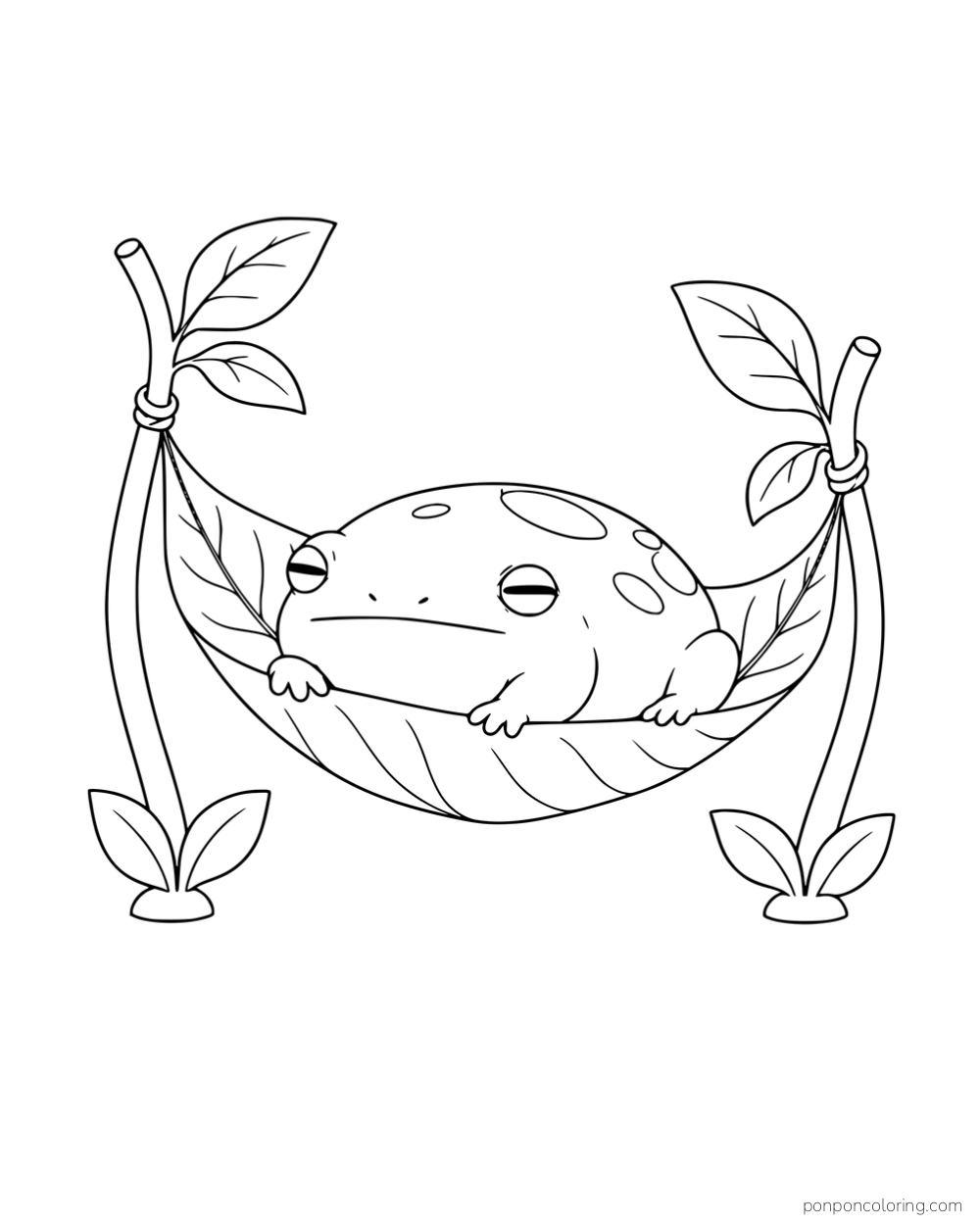 A round spotted frog resting in a leaf hammock tied between two leafy stems.