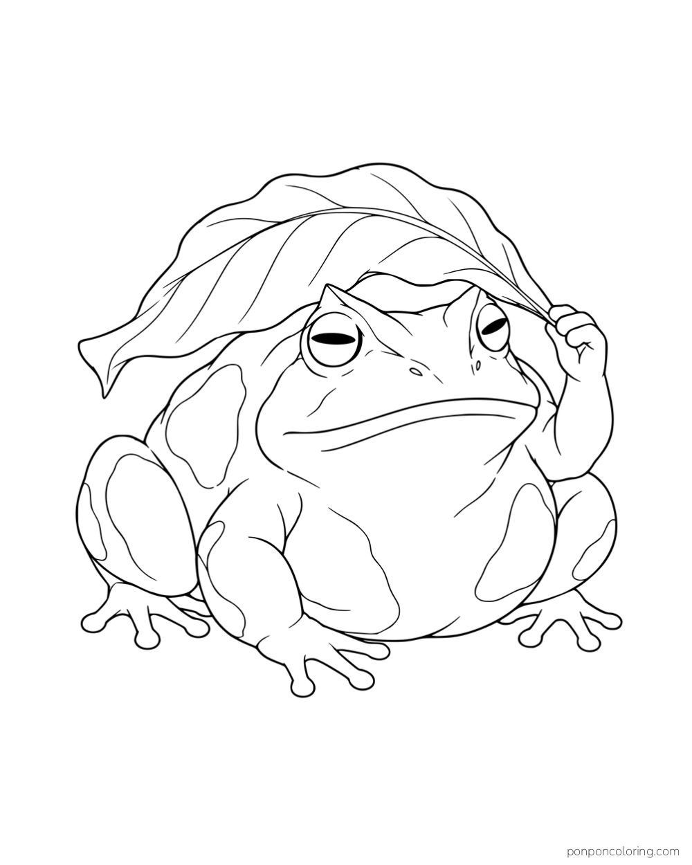 A broad patterned frog holding a leaf over its head.