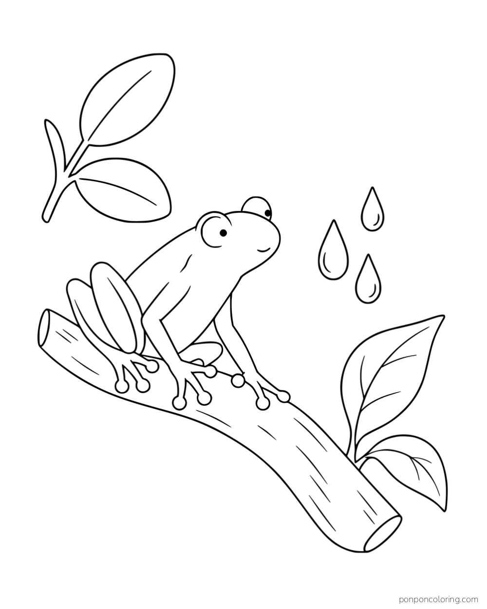 A slender frog with rounded toe pads perched on a leafy branch beside four raindrops.