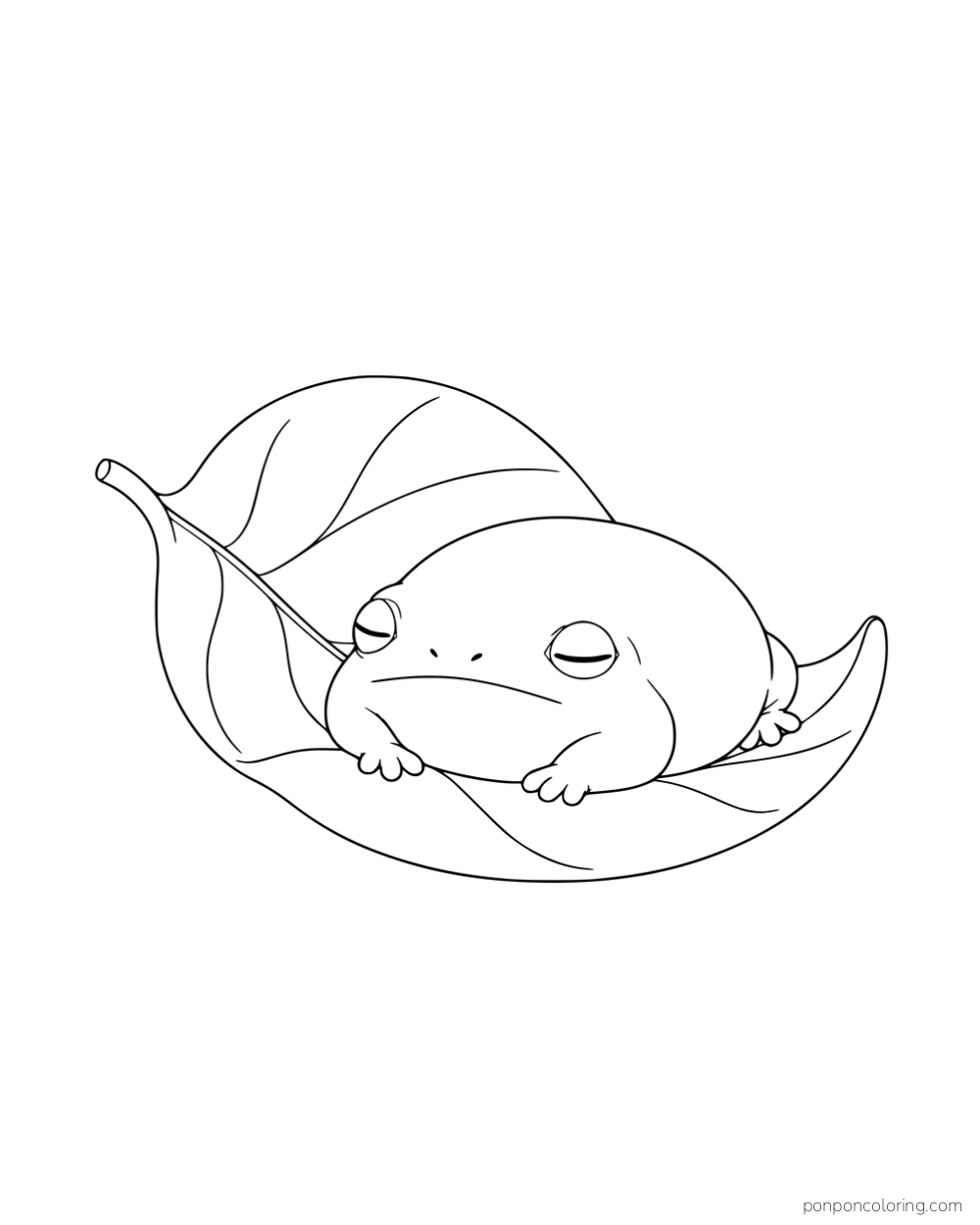 A round frog sleeping on a curled leaf.
