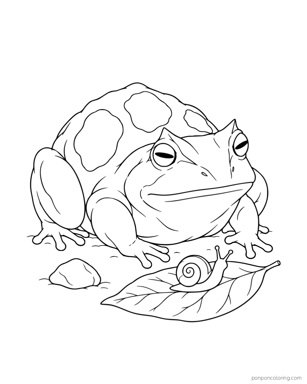 A broad patterned frog watching a snail on a fallen leaf beside a stone.