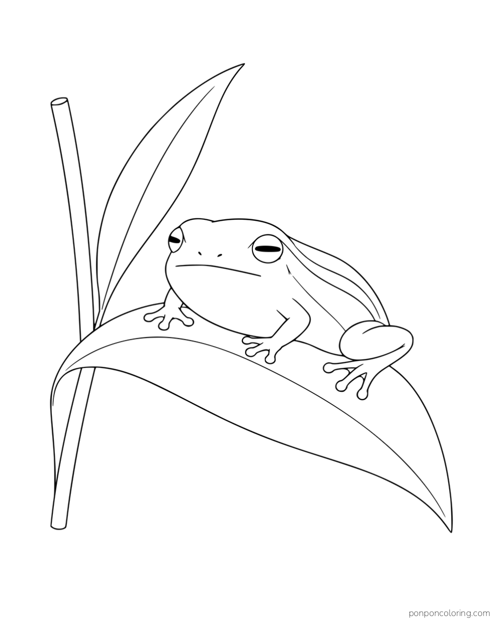 A striped frog with folded legs perched on a broad reed leaf.