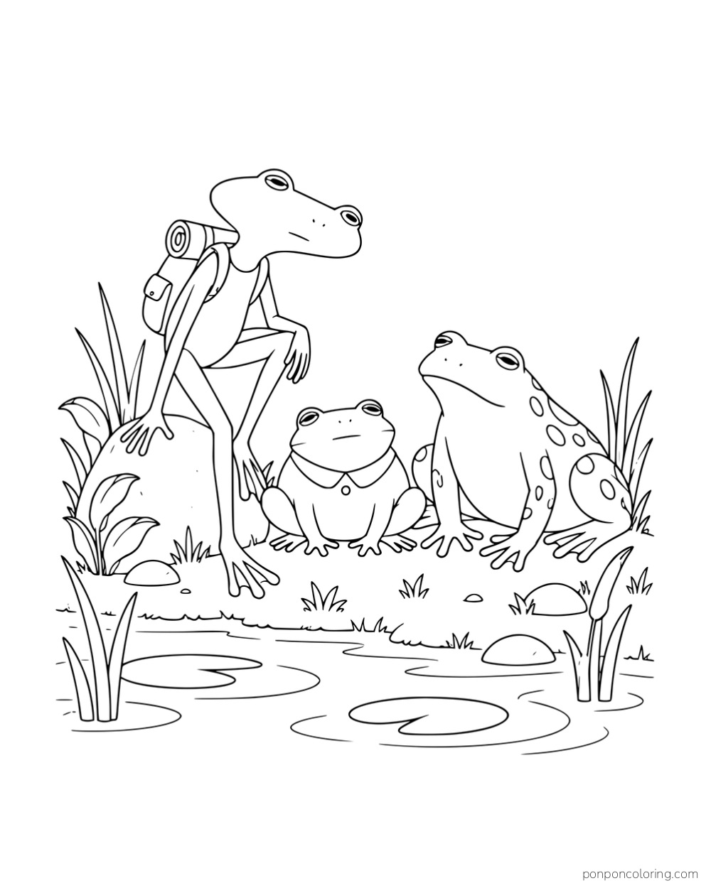 Three frogs with different builds resting together beside a pond, including one wearing a backpack.
