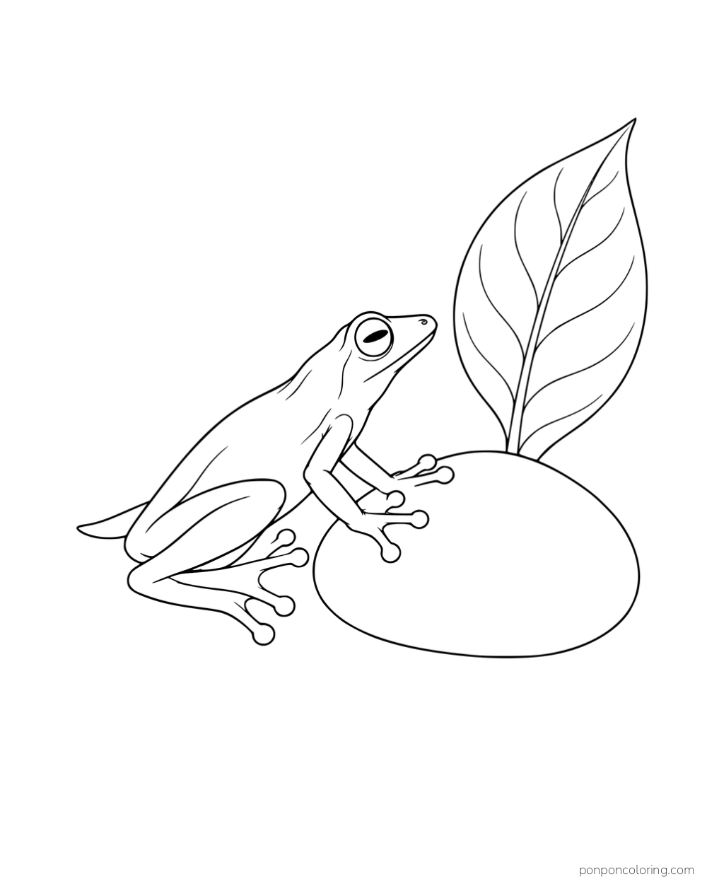 A small froglet with a short tail beside a large pebble and leaf.