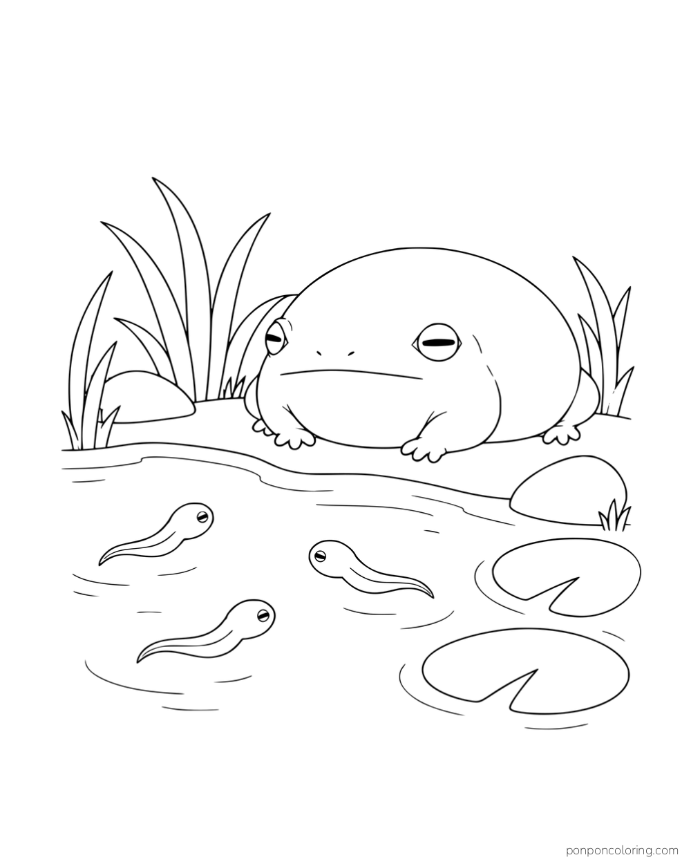 A round frog watching three tadpoles beside lily pads, reeds and stones.