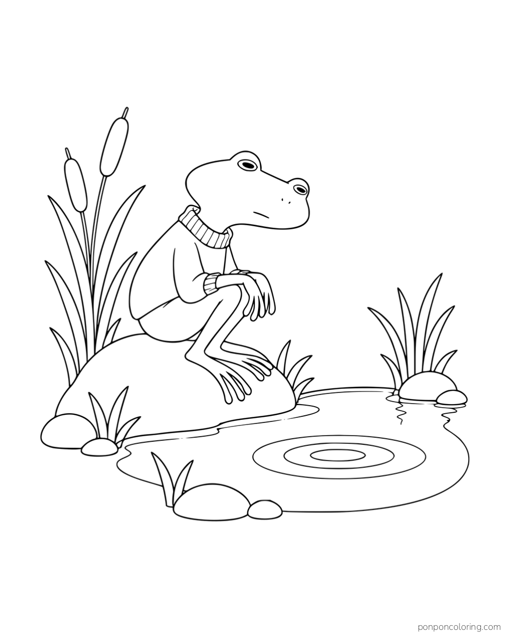 A long-legged frog sitting on a pondside rock and watching rings in the water.