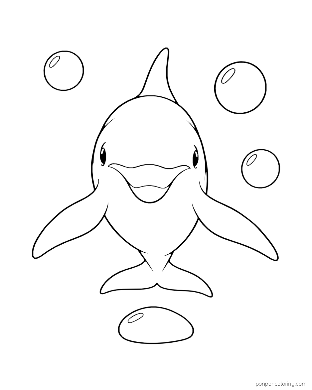 A dolphin faces forward with its flippers spread, between three large round bubbles above a smooth stone.