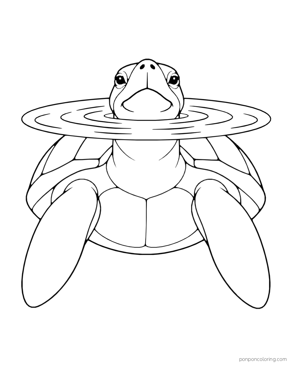 A sea turtle faces forward with its nose above a broad oval water surface.