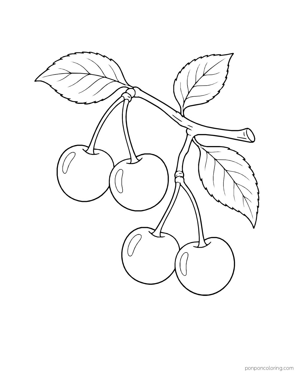 Two pairs of cherries hang from a branching twig with four pointed leaves.