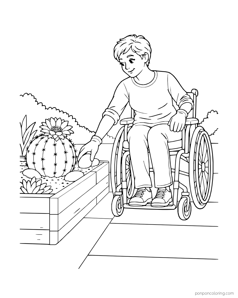 A gardener in a wheelchair places a smooth stone beside a flowering cactus in a raised bed.
