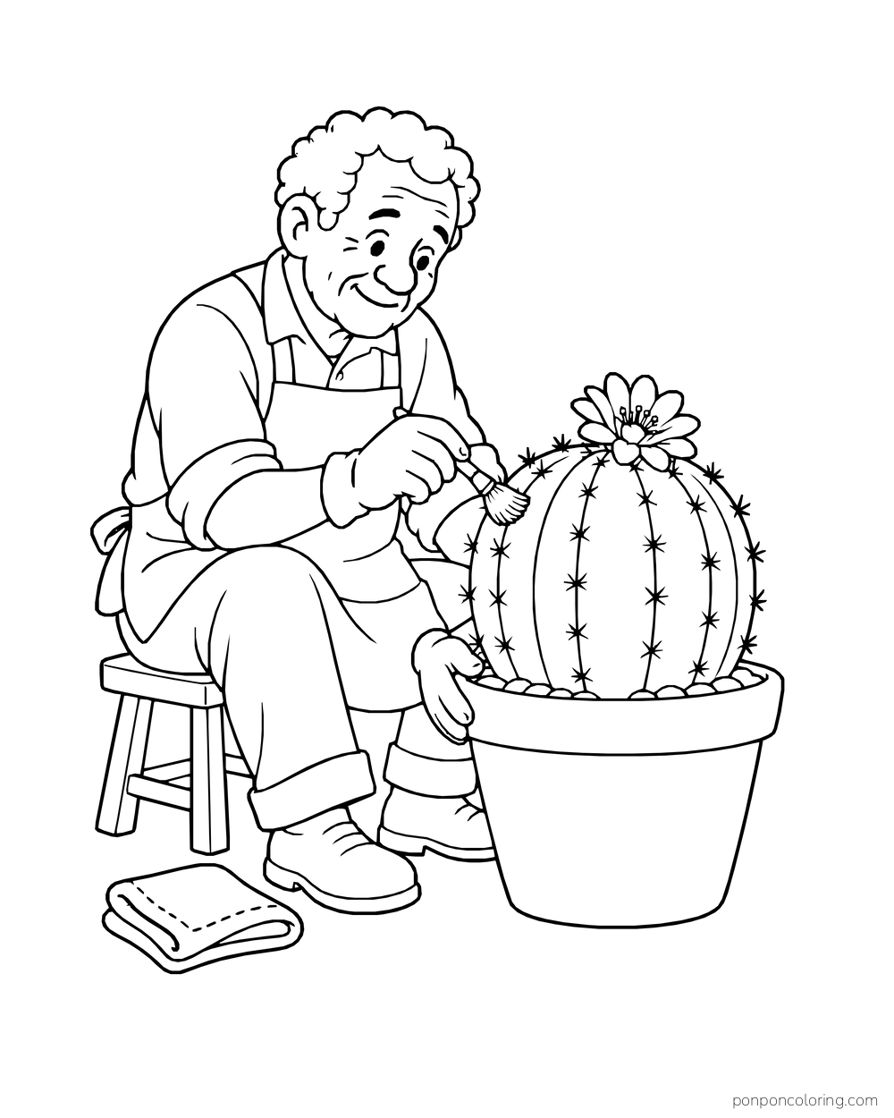An older gardener touches a small brush to a flowering barrel cactus in a pot.