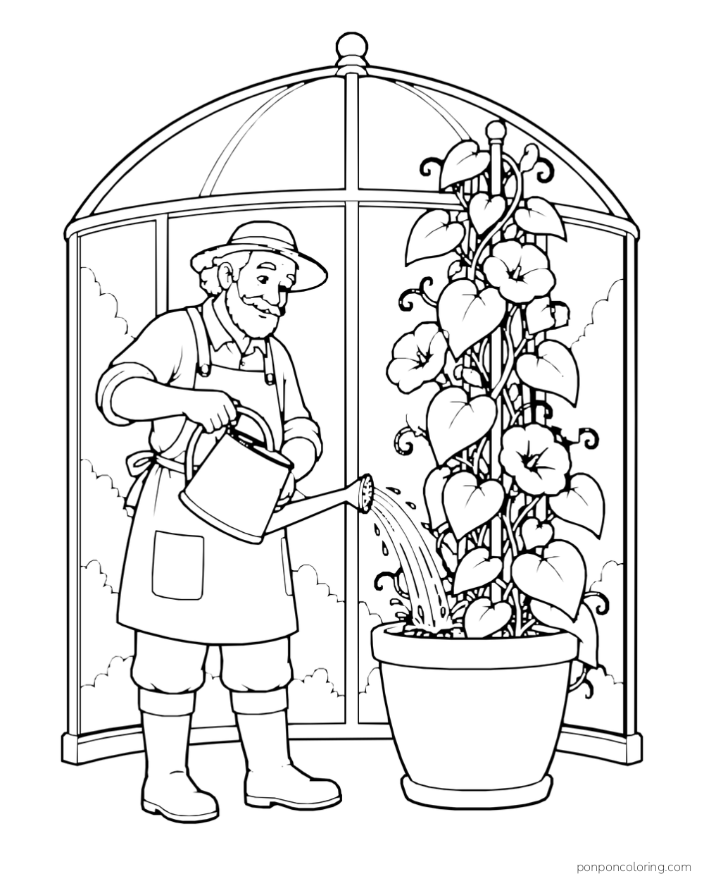 A gardener watering a tall flowering vine in a pot inside a glass greenhouse.