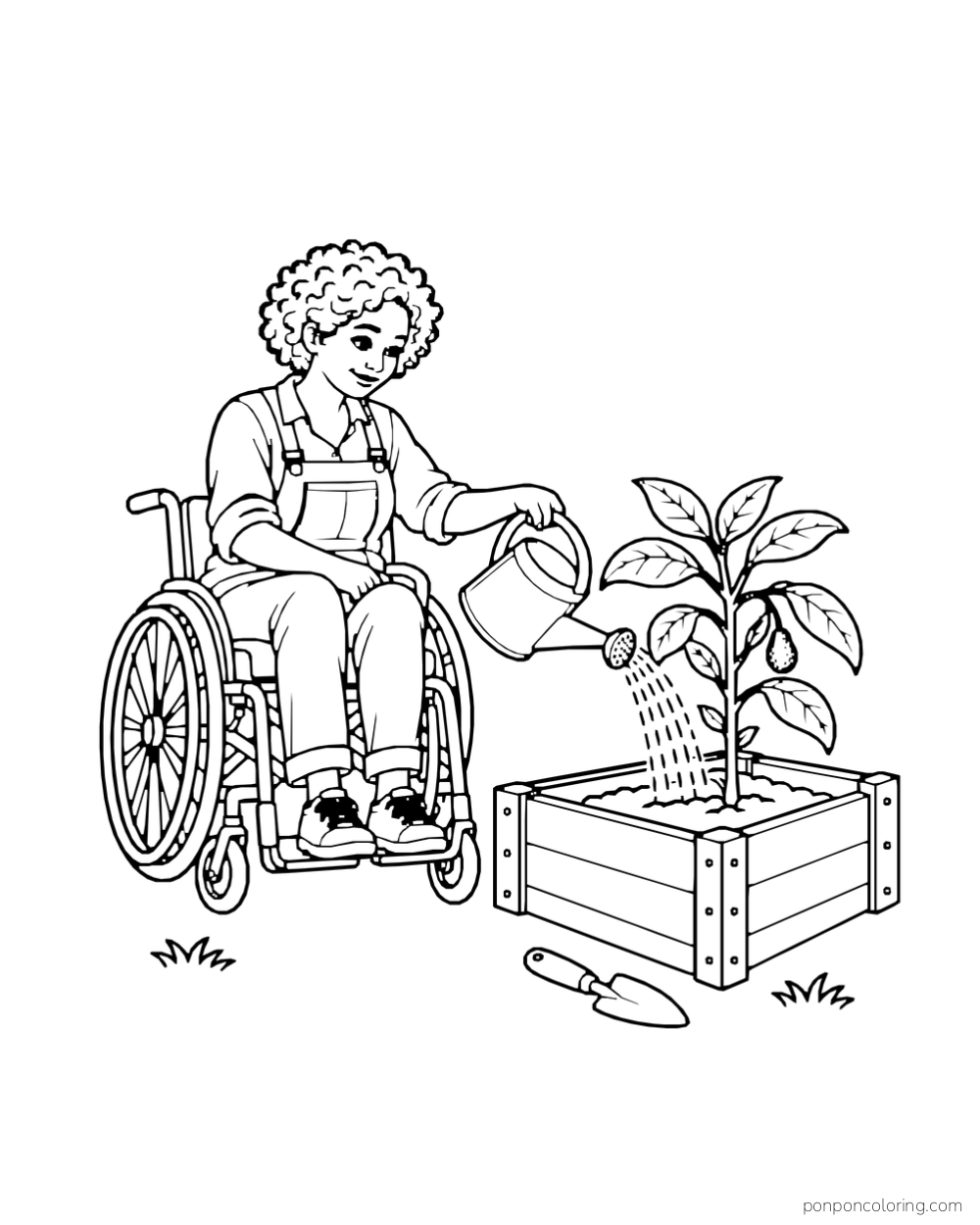 An adult gardener in a wheelchair waters an avocado sapling in a raised planter.