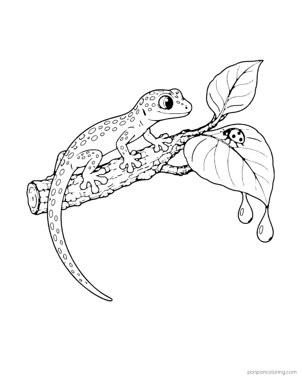 A spotted gecko grips a short branch and looks toward a ladybug on a broad leaf with two hanging dew drops.