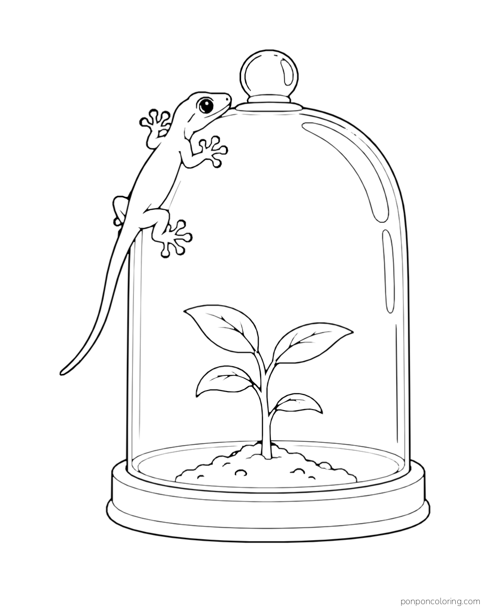 A gecko clings to the outside of a glass bell jar covering a small seedling.