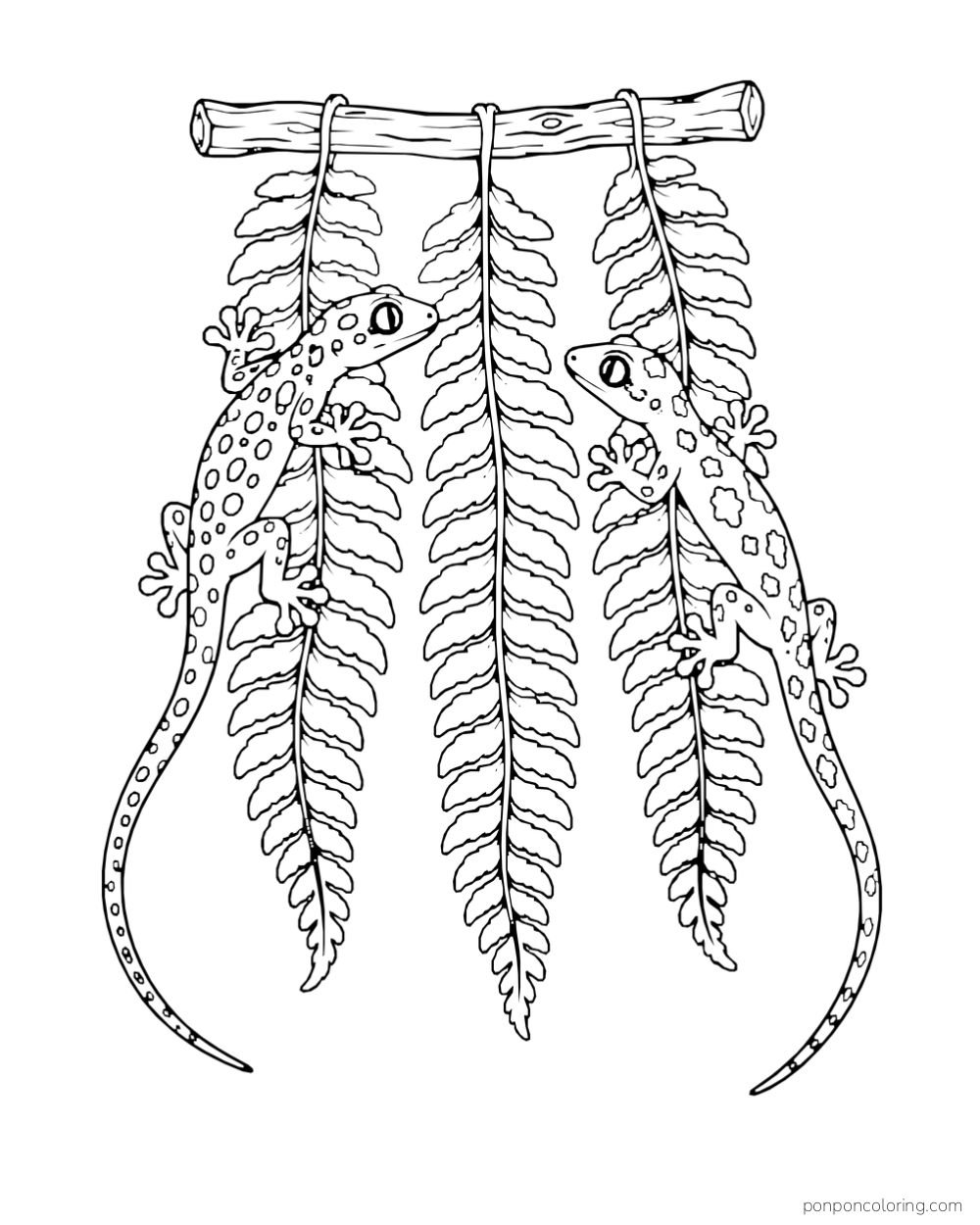Two geckos cling to separate fern fronds hanging from a short wooden bar.