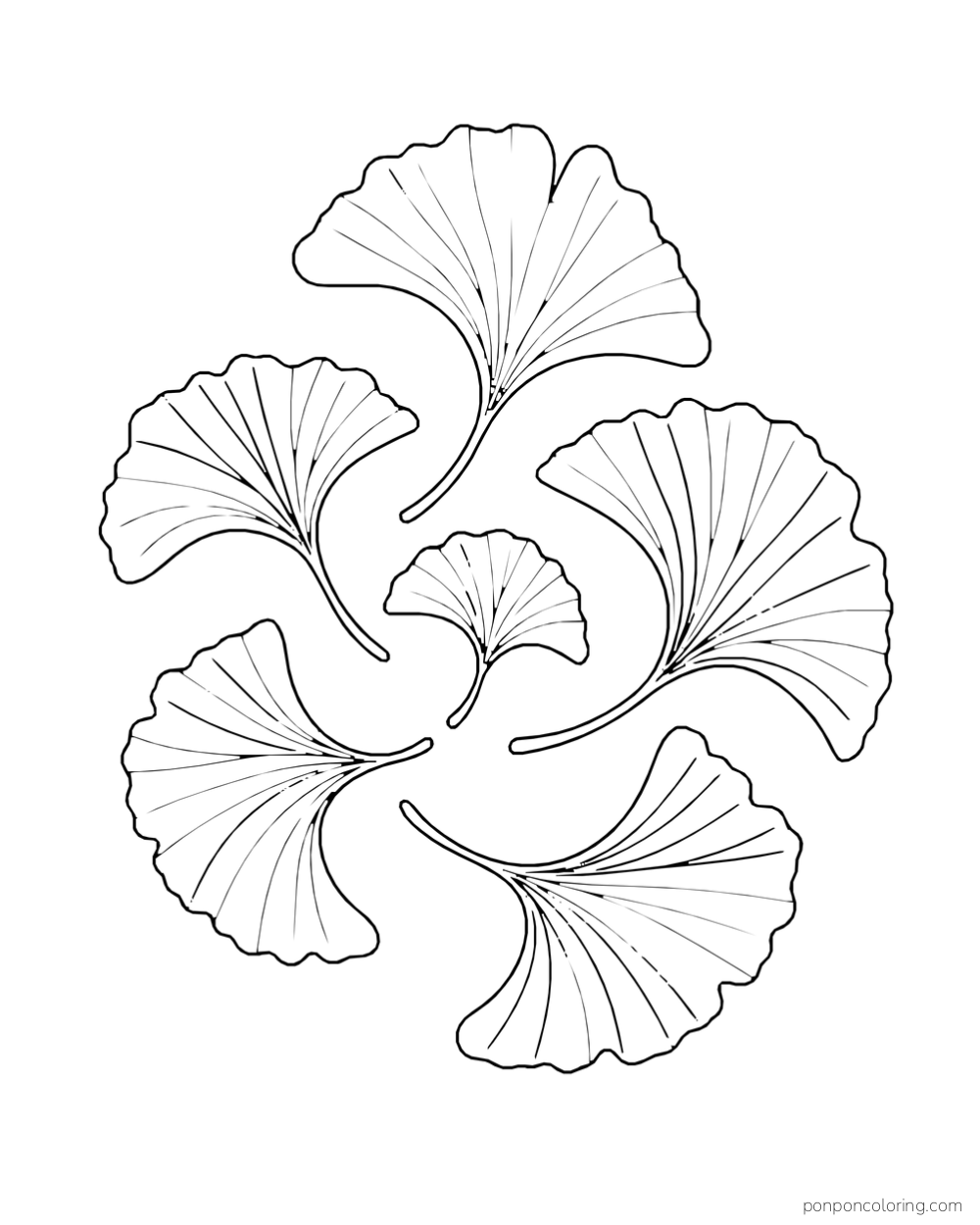 Six fan-shaped ginkgo leaves turn around a small open center.