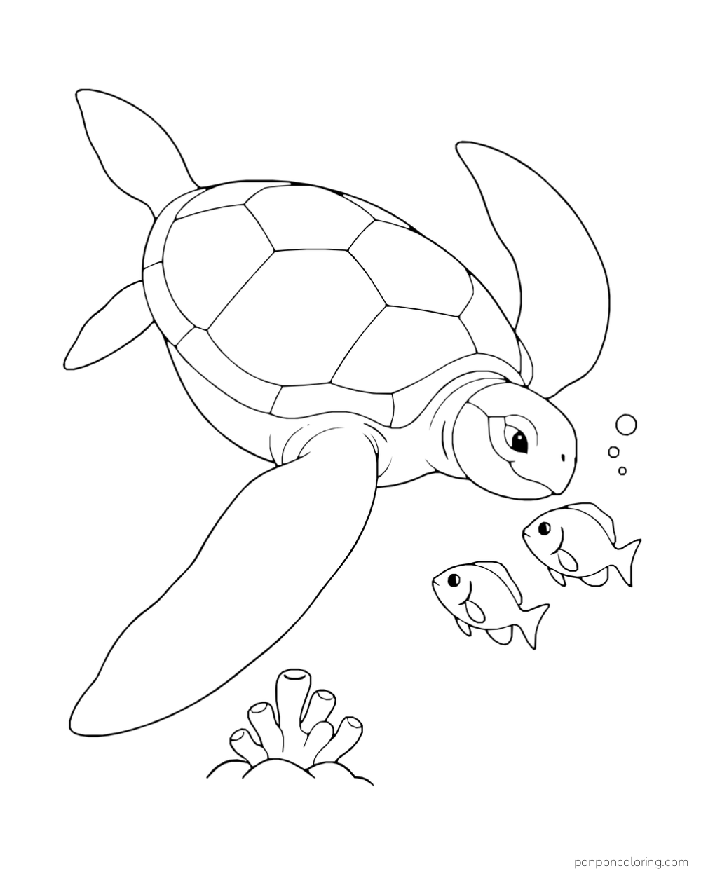 A long-flippered sea turtle swims diagonally beside two small fish.