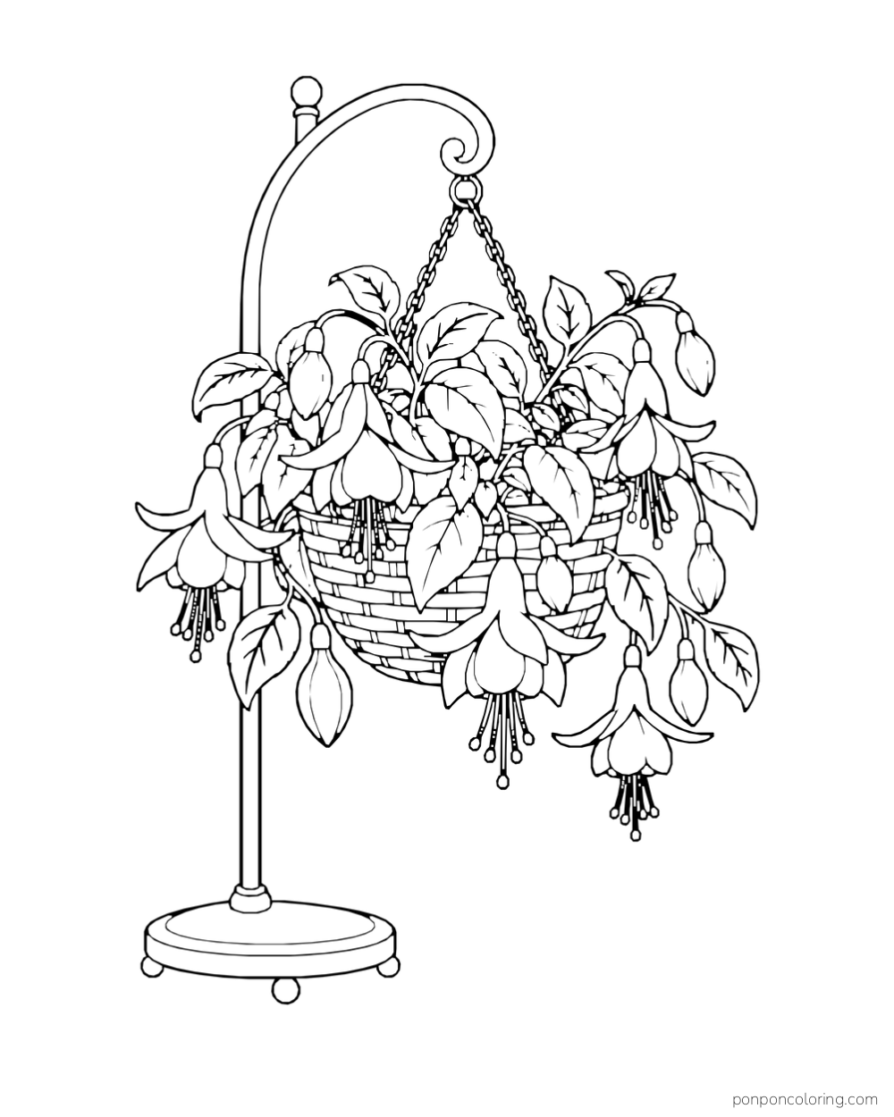 Fuchsia flowers and leaves spill from a hanging basket suspended on a curved freestanding hook.
