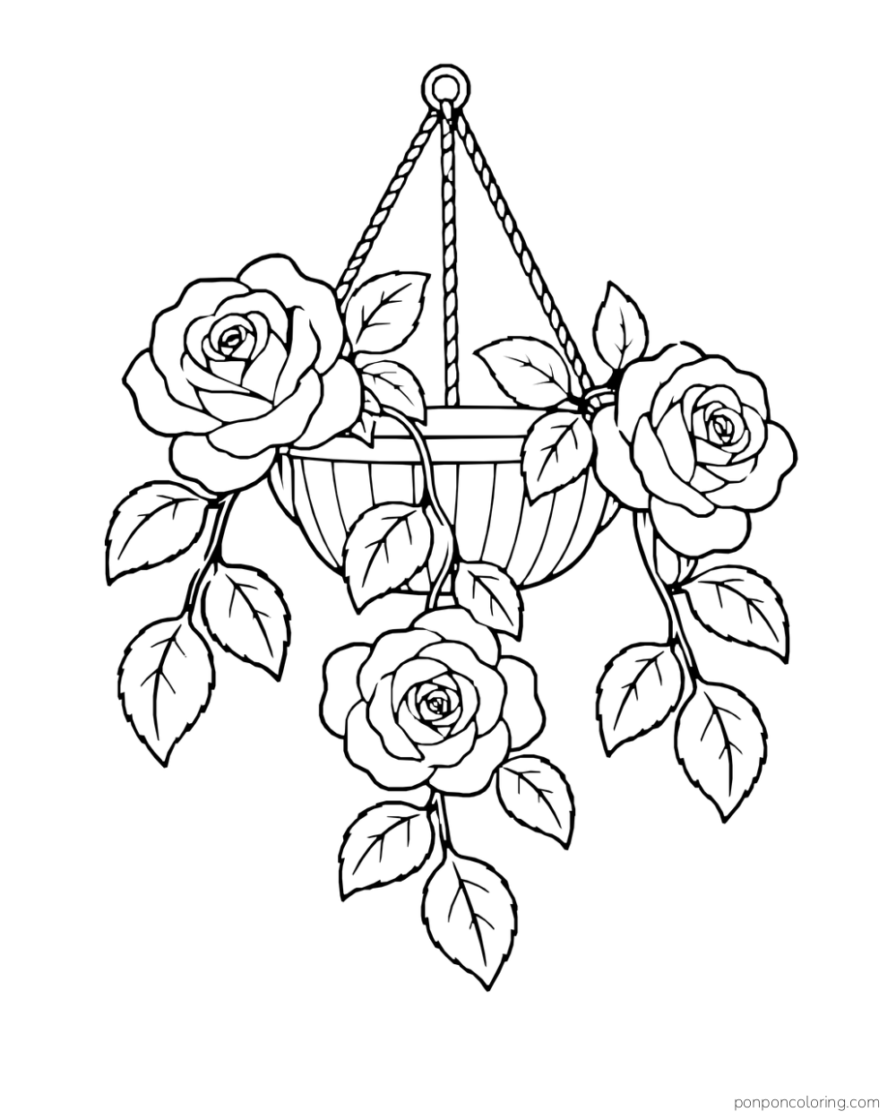 Hanging basket with three large roses and trailing leafy stems.