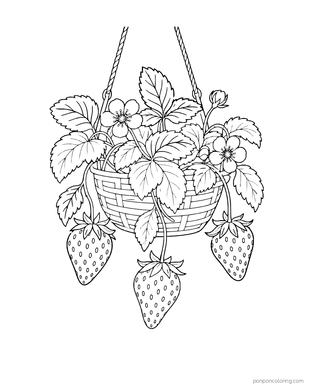 A hanging basket holds a leafy strawberry plant with three berries below its rim.