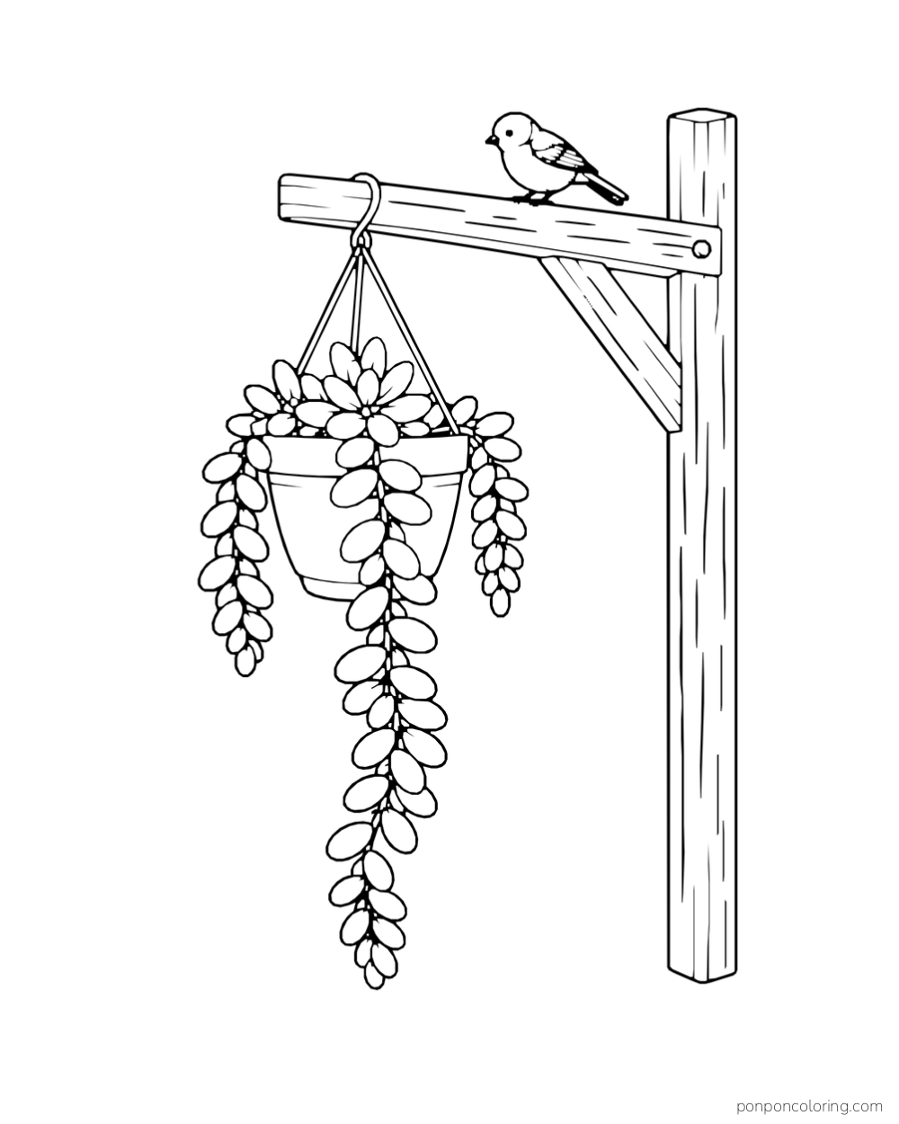 Hanging pot of thick trailing succulent leaves beneath a wooden bracket with a bird perched above.