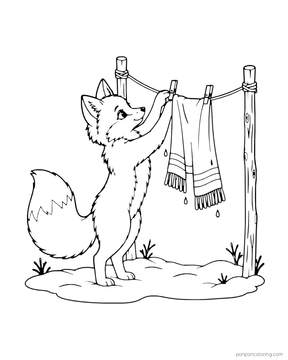 A fox reaches up to hang a scarf on a short clothesline with two posts.