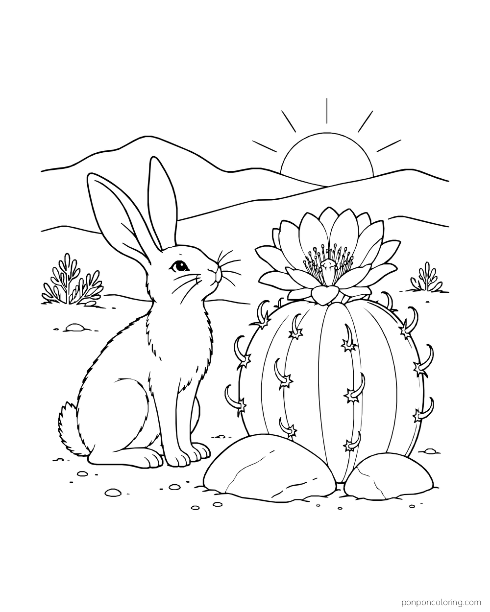 A hare sits beside a flowering barrel cactus as the sun rises over low hills.