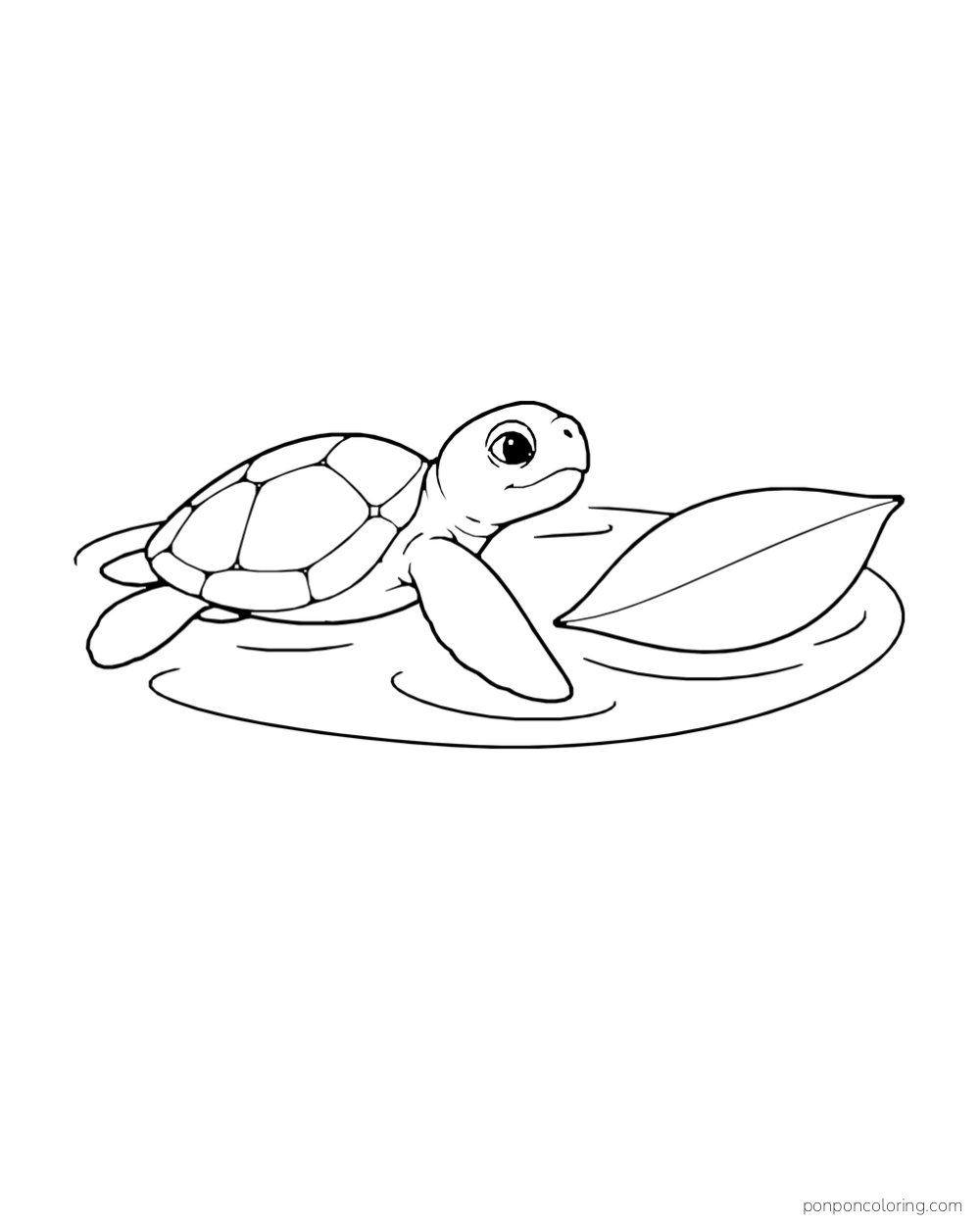 A young sea turtle pauses beside a broad floating leaf and curved water ribbon.