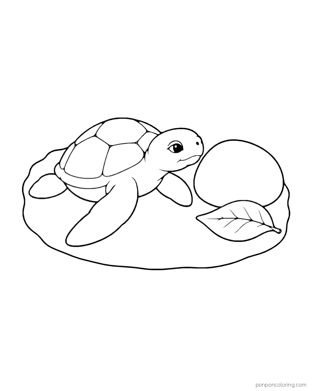 A young sea turtle crawls beside a large round stone and a fallen leaf.