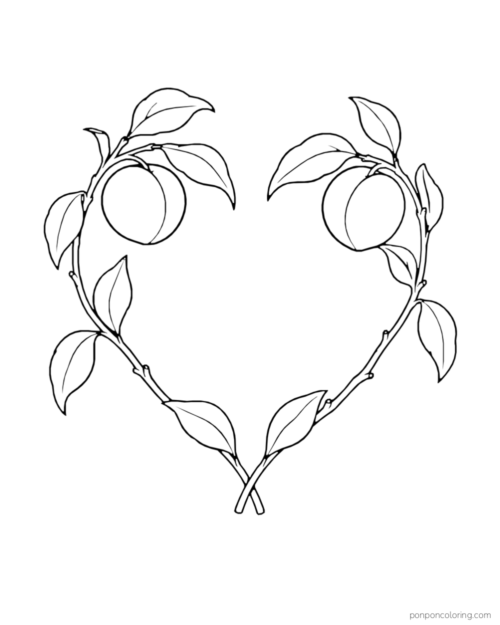Two curved peach branches forming a loose heart with fruit near the top.