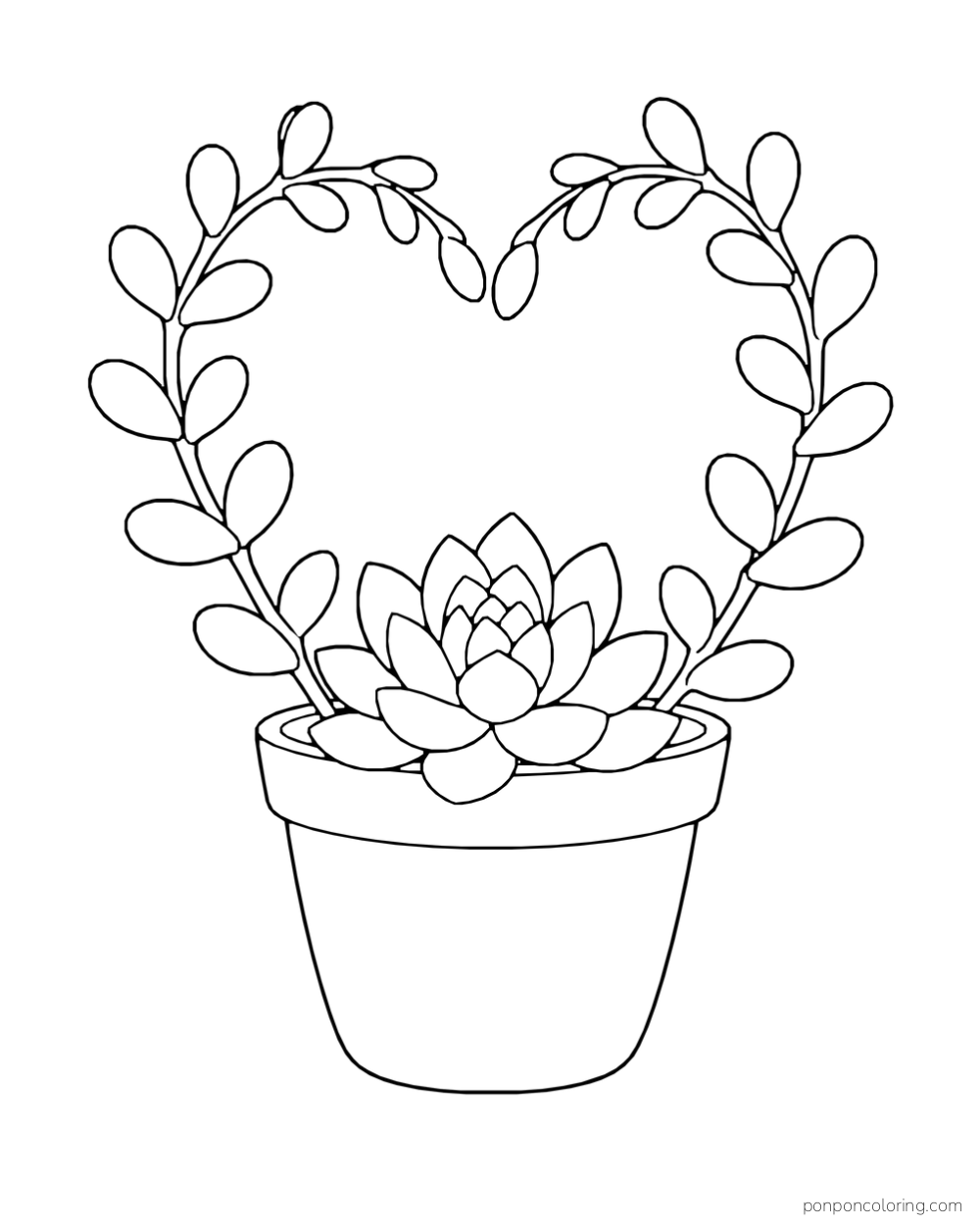 Two curving oval-leaf succulent stems form a heart above a central rosette in a pot.