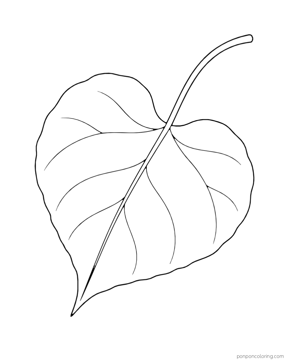 A heart-shaped leaf with a long curved stem and broad veins.