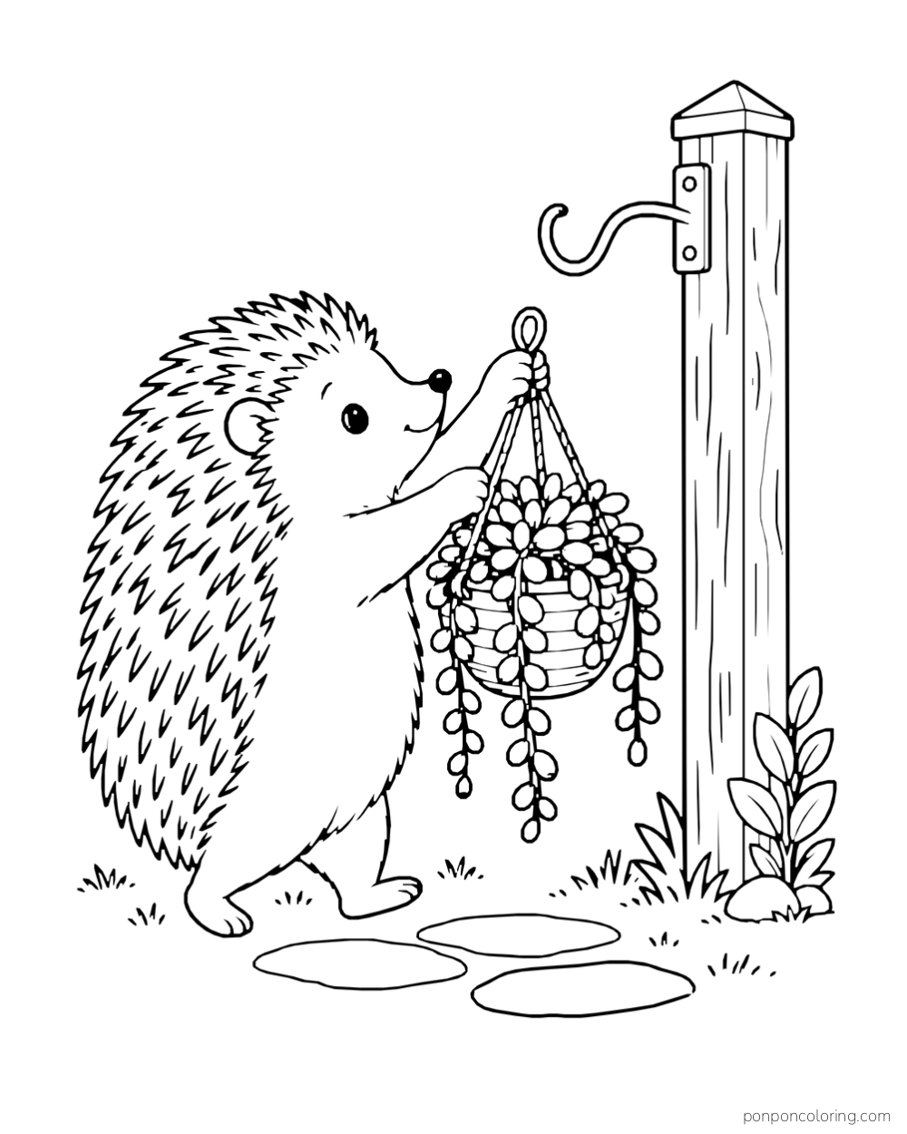Hedgehog holding a hanging basket of round trailing succulent leaves near a hook on a post.