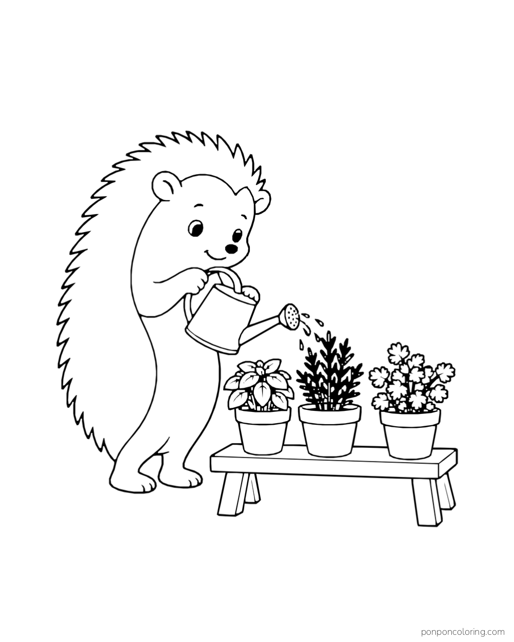 A hedgehog uses a watering can to water three pots of herbs on a low bench.