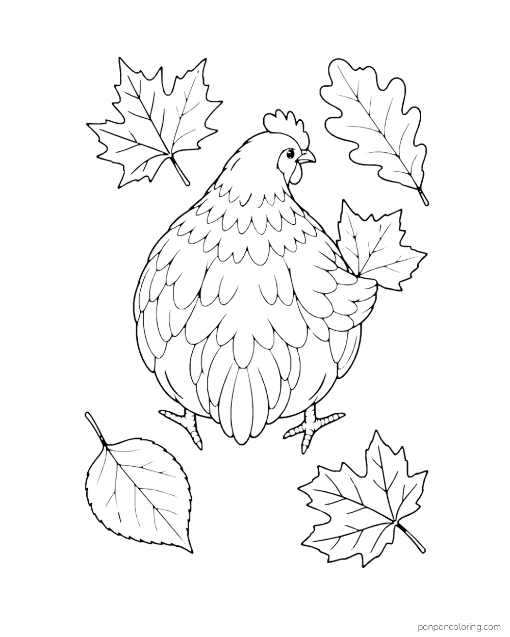 Rear view of a hen among five broad fallen leaves