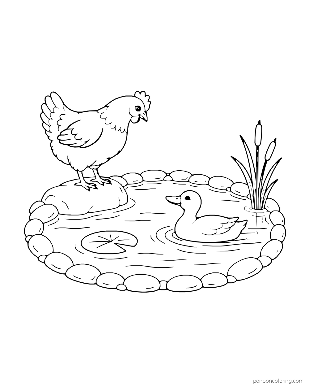 Hen on a stone beside a small oval pond where a duck swims