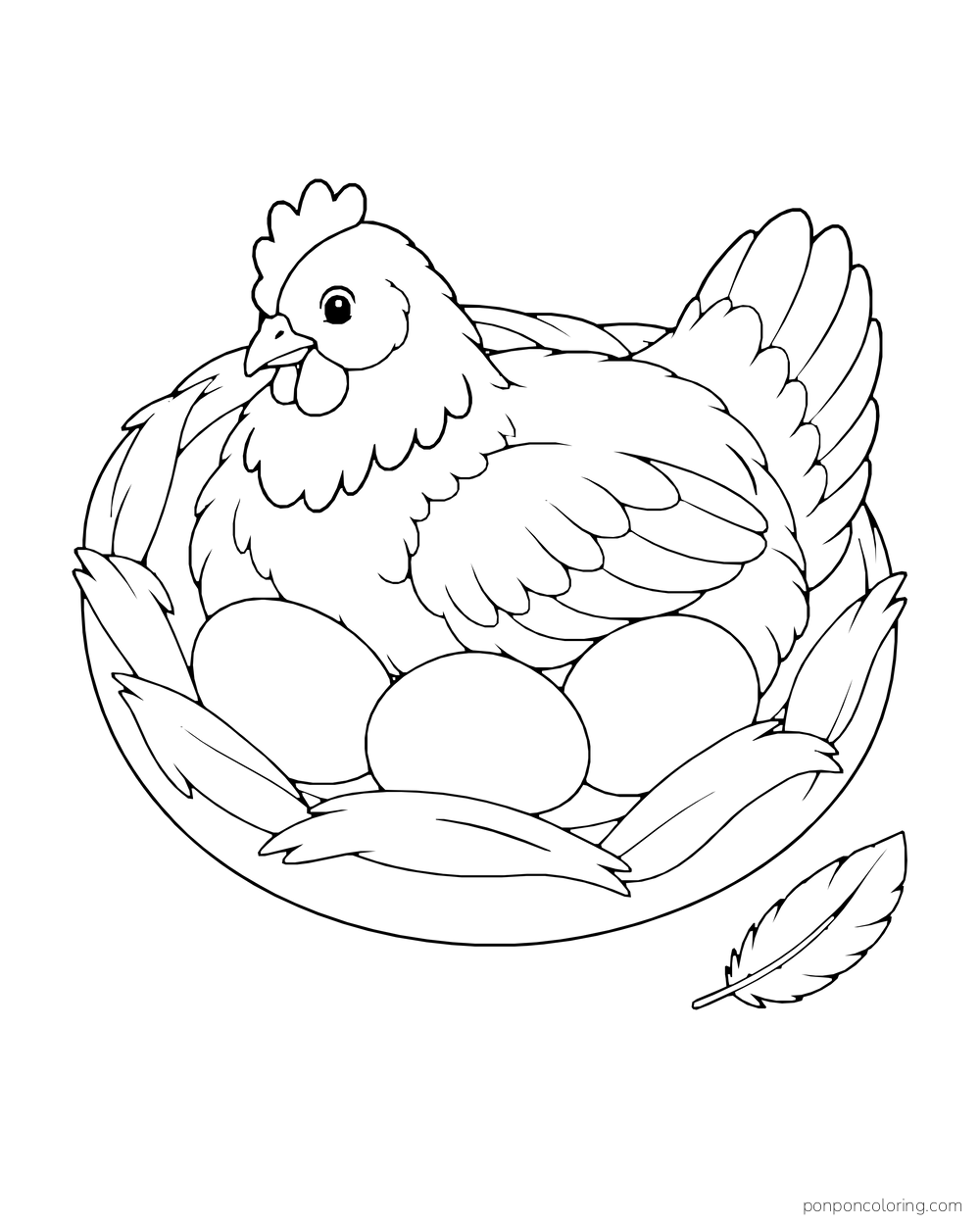 Hen curled around three eggs in a broad straw nest with a feather nearby