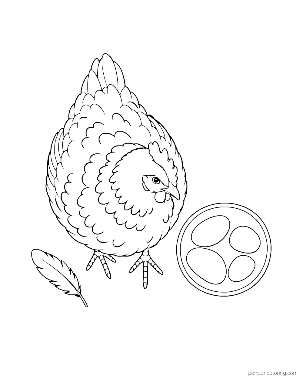 Overhead view of a hen beside a shallow round bowl holding four pebbles