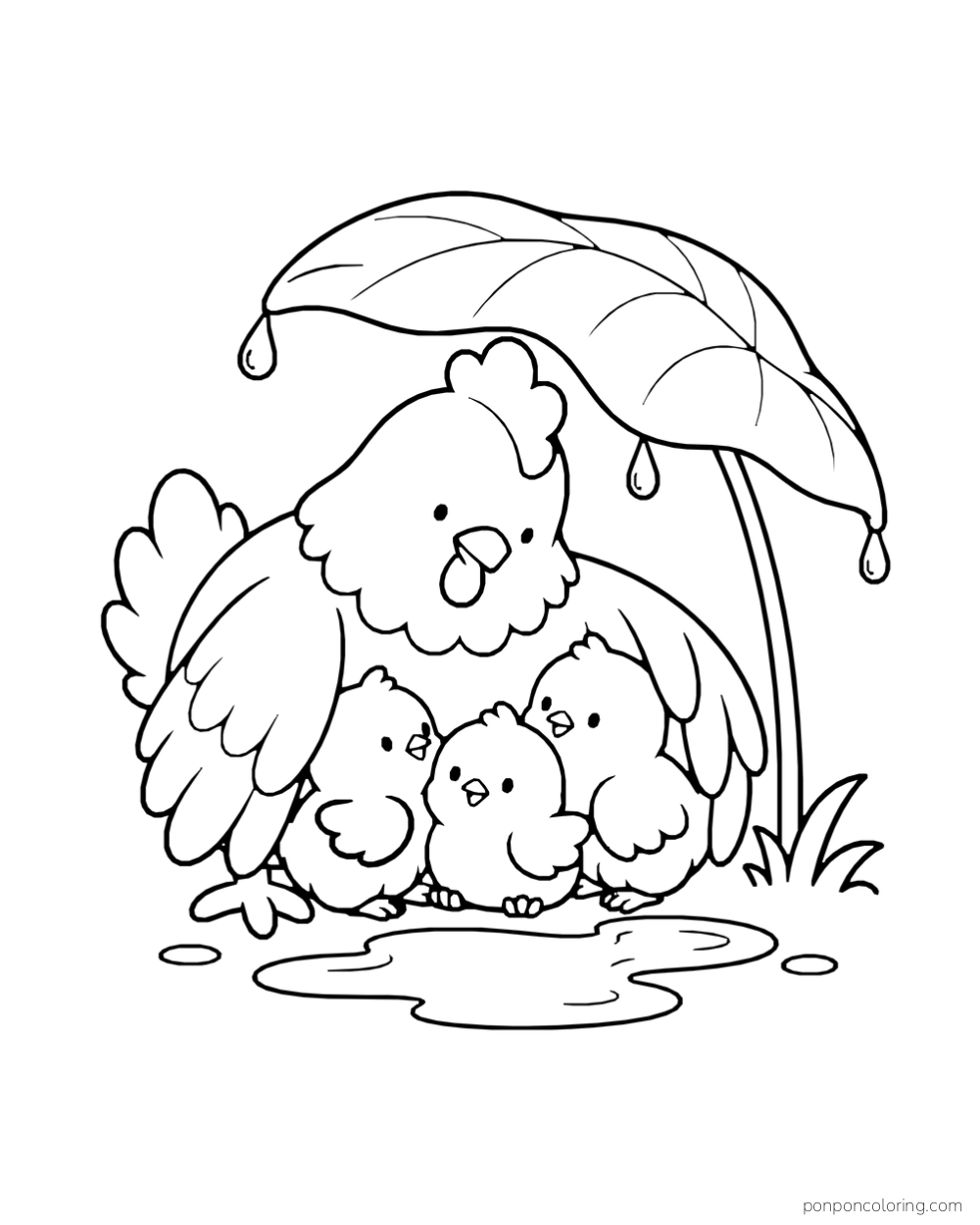 A hen spreads its wings over three chicks beneath a large leaf beside a puddle.