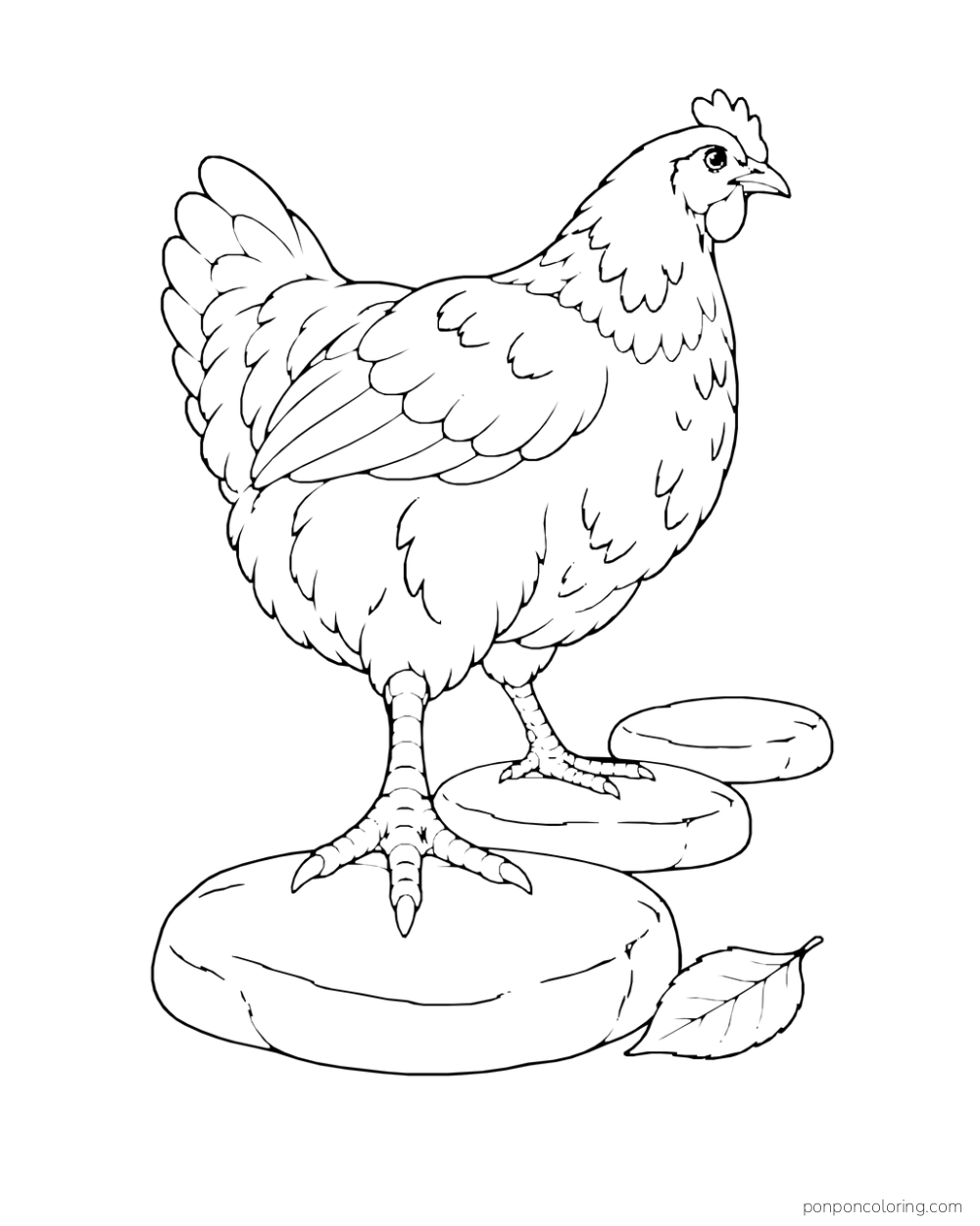 Hen placing her feet on three large garden stepping stones