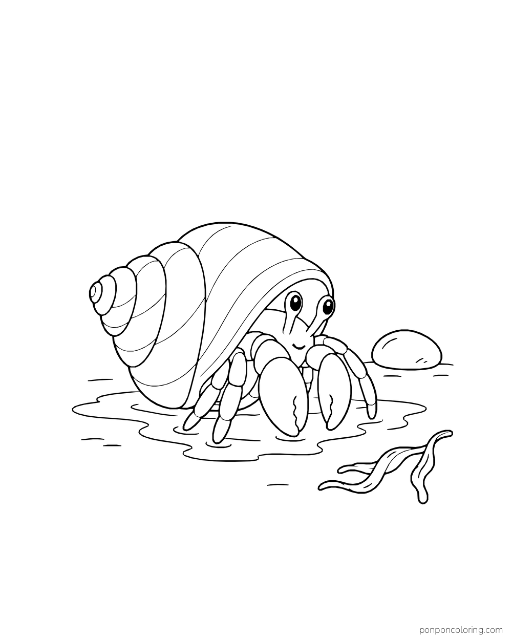 A hermit crab emerges from a spiral shell beside a shallow wash of water.