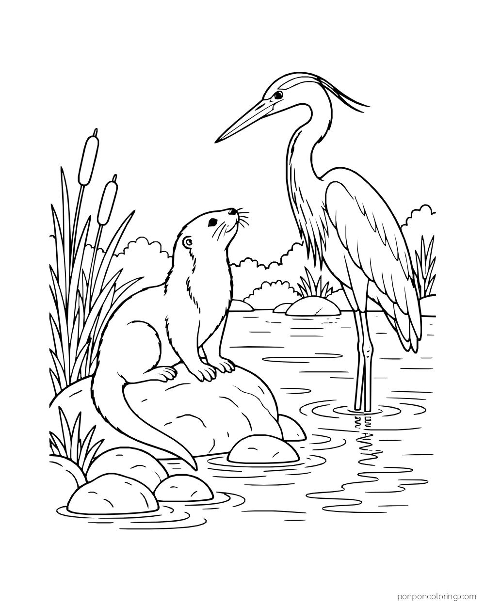Otter sitting on a stone and looking up at a tall heron in the water.