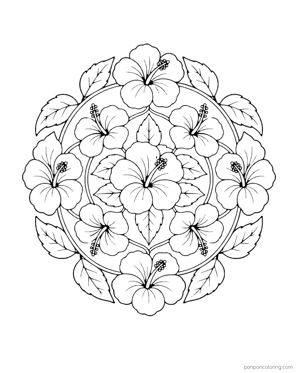 Hibiscus blossoms and serrated leaves fill a circular decorative arrangement.