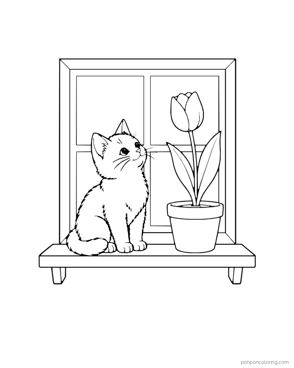 A kitten sitting on a windowsill beside one potted tulip and looking up at the bloom.
